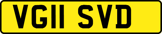 VG11SVD