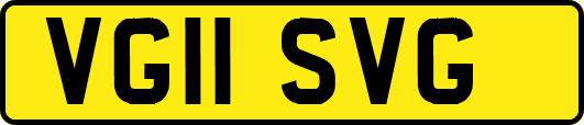 VG11SVG