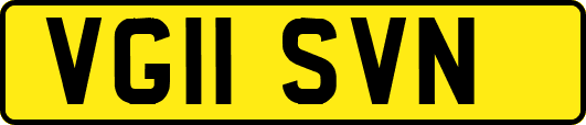 VG11SVN