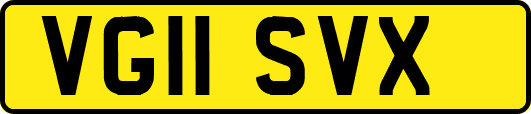 VG11SVX