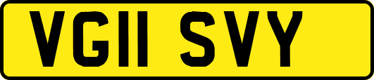 VG11SVY