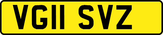 VG11SVZ