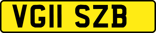 VG11SZB