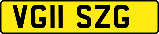 VG11SZG