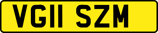 VG11SZM