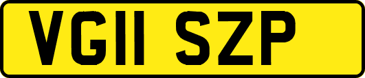 VG11SZP