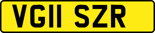 VG11SZR