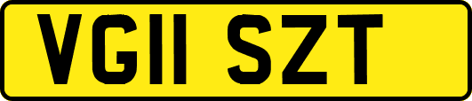 VG11SZT