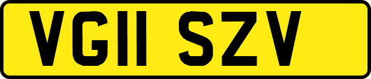 VG11SZV