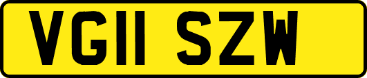 VG11SZW