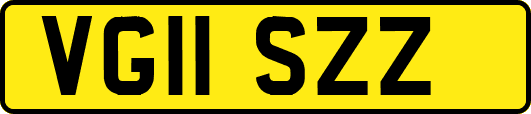 VG11SZZ