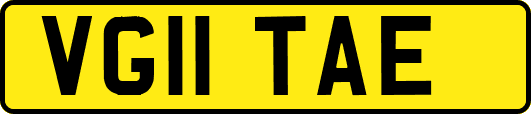 VG11TAE