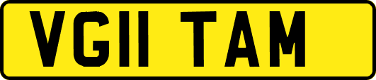 VG11TAM