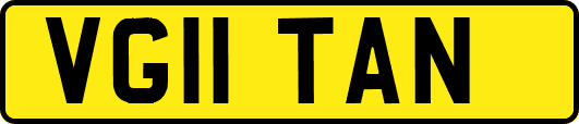 VG11TAN