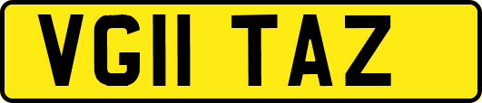 VG11TAZ
