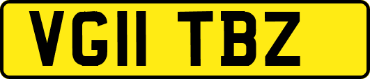 VG11TBZ