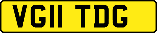 VG11TDG