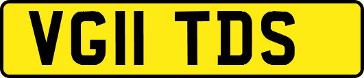 VG11TDS