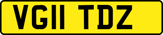 VG11TDZ