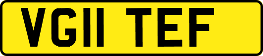 VG11TEF