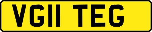VG11TEG