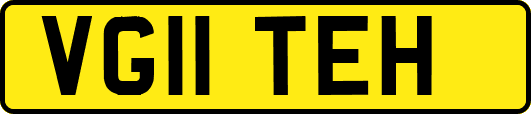 VG11TEH
