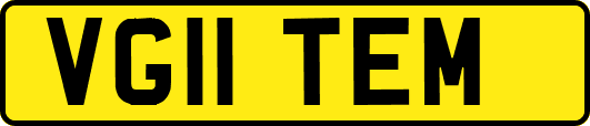 VG11TEM