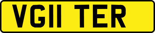 VG11TER