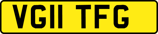VG11TFG
