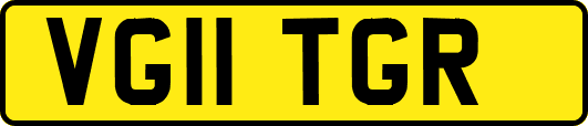 VG11TGR