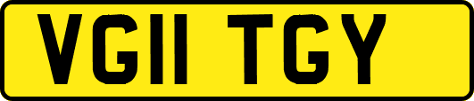 VG11TGY