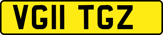 VG11TGZ