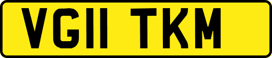VG11TKM