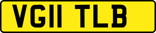 VG11TLB