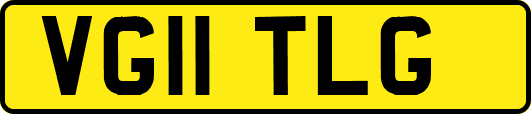 VG11TLG
