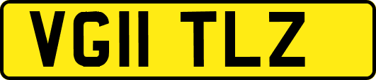 VG11TLZ