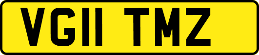 VG11TMZ