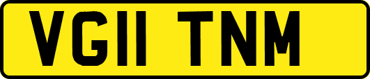 VG11TNM