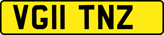 VG11TNZ