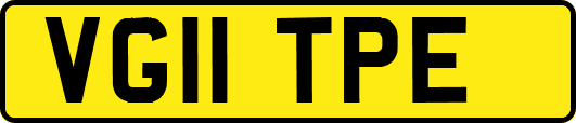 VG11TPE