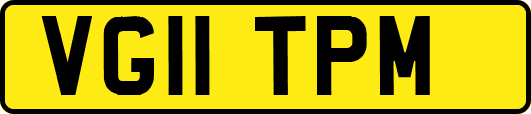 VG11TPM