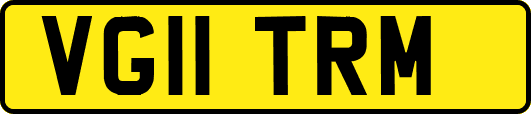 VG11TRM