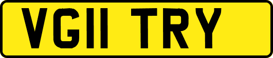 VG11TRY