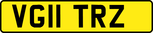 VG11TRZ