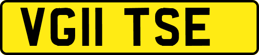 VG11TSE