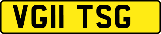 VG11TSG