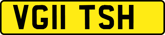 VG11TSH