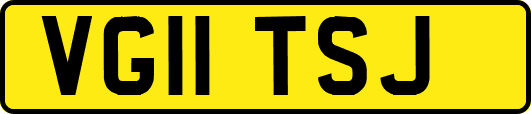 VG11TSJ