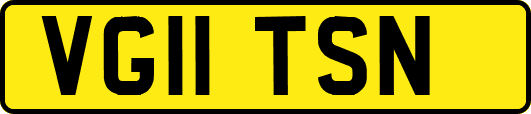 VG11TSN