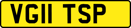 VG11TSP